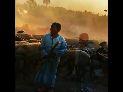 صورة من أوسيم أسكن بيوت الفرح آه ممكن أسكن بيوت الحزن لا يمكن