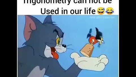 Tom jerry using Trigonometry 😂