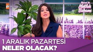 1 Aralık Pazartesi Neler Olacak? - Nursel Ile Mutfak Bahane