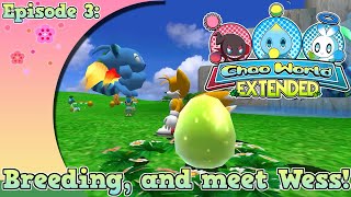 Chao Garden Extended: Chao Evolution, Breeding and meet Wess! [SA2B]
