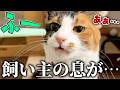 飼い主の息が、信じられない匂いをしていました。