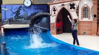 Clyde and Seamore's Spooky Adventure at SeaWorld San Diego 102014