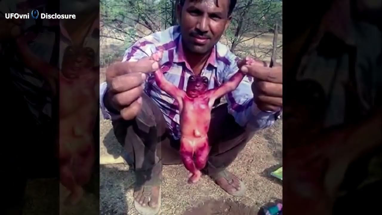 ★ Strange Creature Caught on Camera in India Real Hybrid Alien or Goblin? What you think