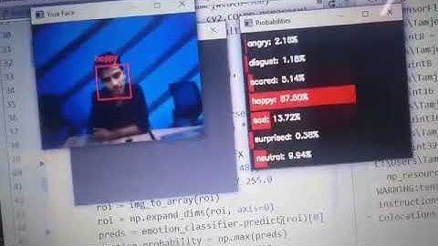 Real Time Emotion Detection System