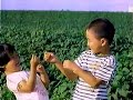 【名古屋・中京ローカルCM】 マルサンアイ  マルサン豆乳（1994年）