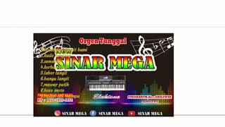 Album. sinar mega