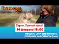 Мышка и другие. 1 час отвечаем на вопросы  | СТРИМ [14 февраля 18:00]