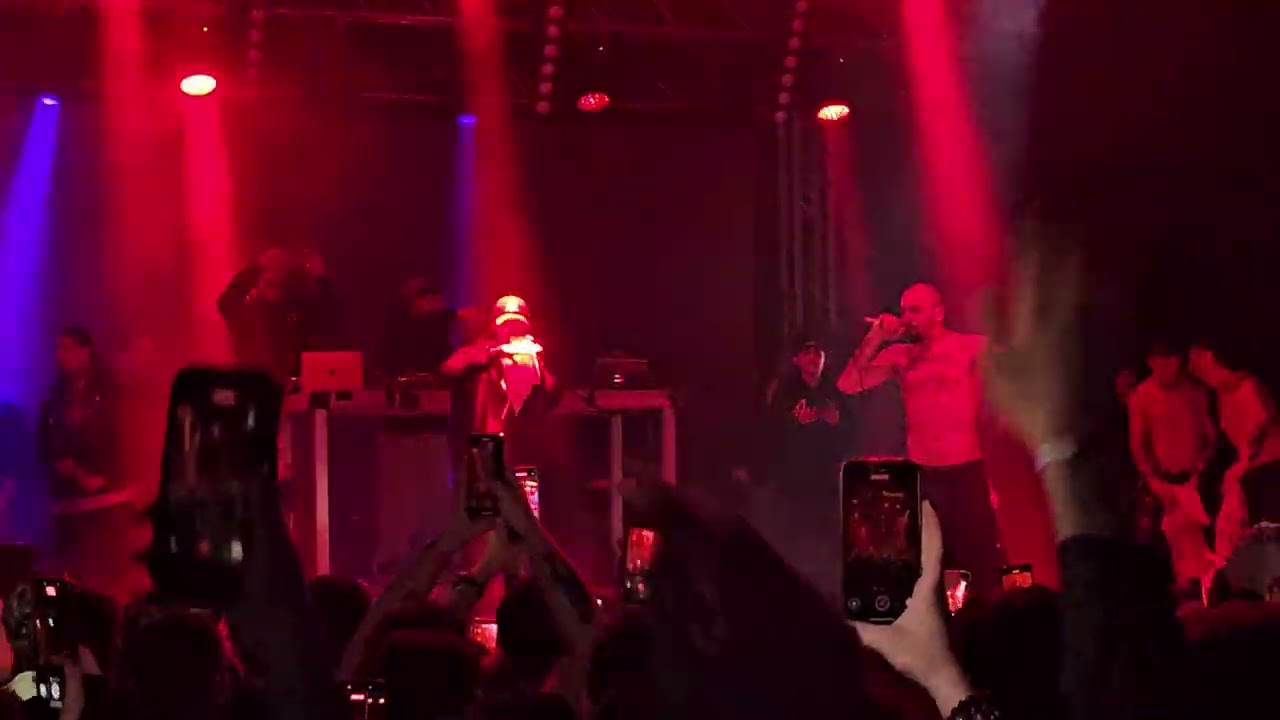 Specii - Candy 2 ( live 2026 Quantic )