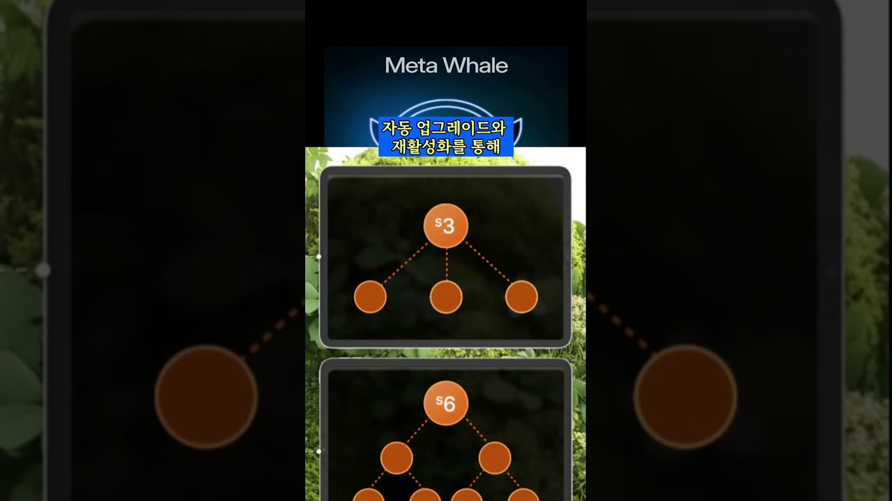 Meta Whale “T&S 완전 가이드 CES /IGT ”사용 