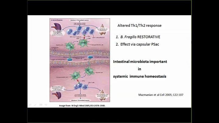 The Infant Microbiome in Health and Disease 11 29 ...