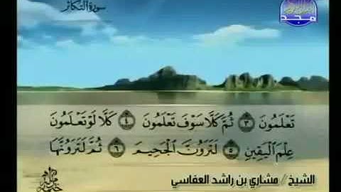 سورة التكاثر 102 - 114 مشاري العفاسي - قناة المجد للقرآن الكريم