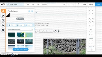 Usability Test Findings Project #4