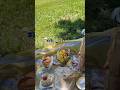 파리에서 바게트샌드위치 만들기 #cooking #food #요리로그 #파리vlog #집밥 #홈쿡 #파리 #요리