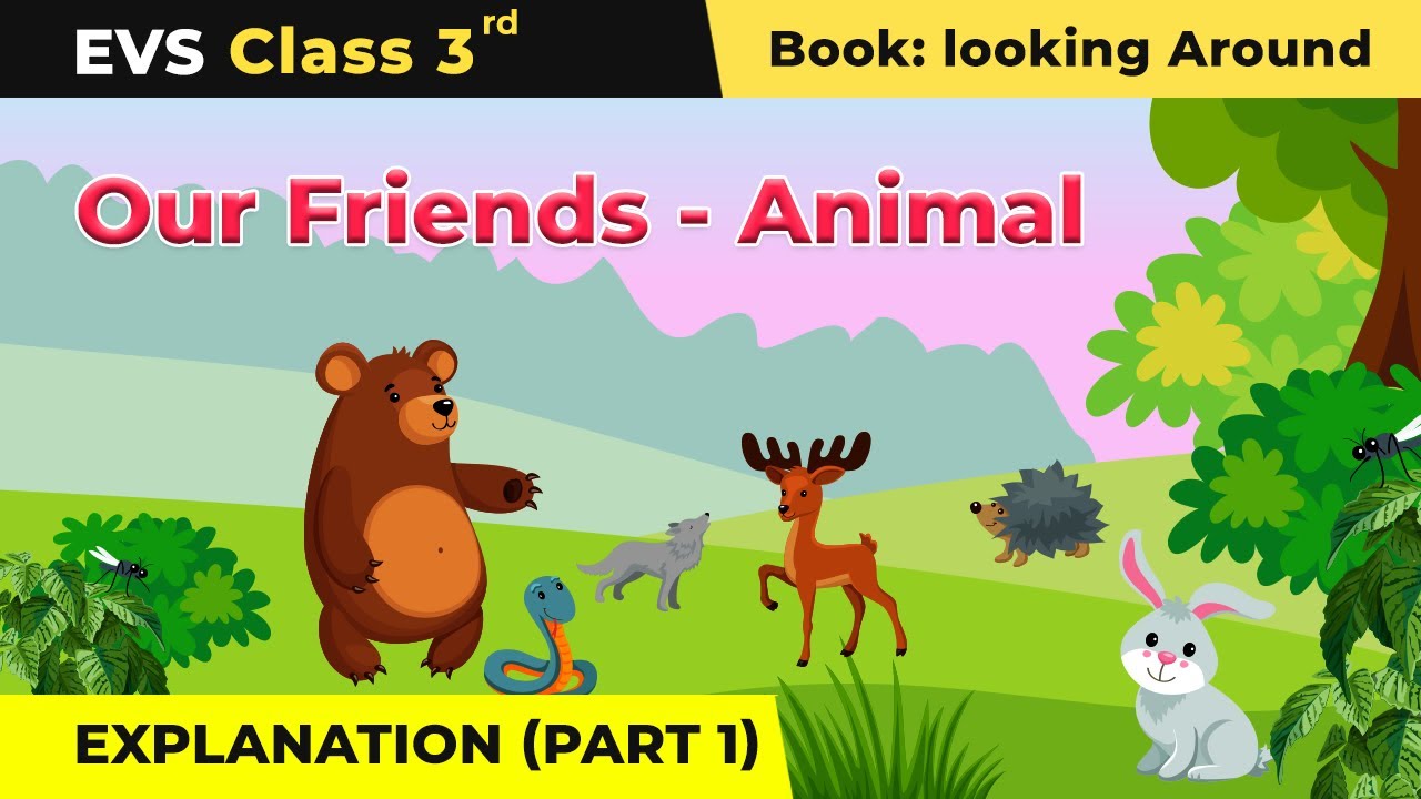 Class 3 NCERT EVS Chapter 19 | Our Friends - Animal Explanation (Part 1) -  YouTube