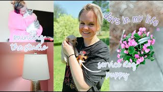 CHRONIC ILLNESS VLOG | picking a puppy story time, physical therapy routine & painting the studio