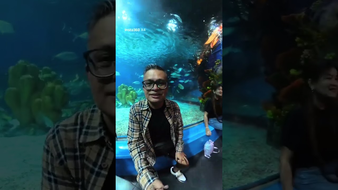 Inside MANILA OCEAN PARK | Aly’s Bday Celebration #topfans #manilaoceanpark #insta360x4 #playboy