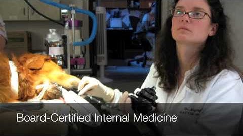 Learn all about the VESC