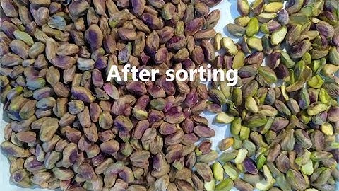 High precision pistachio color sorter machine