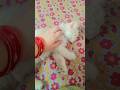 #funny #cat #like#subscribe