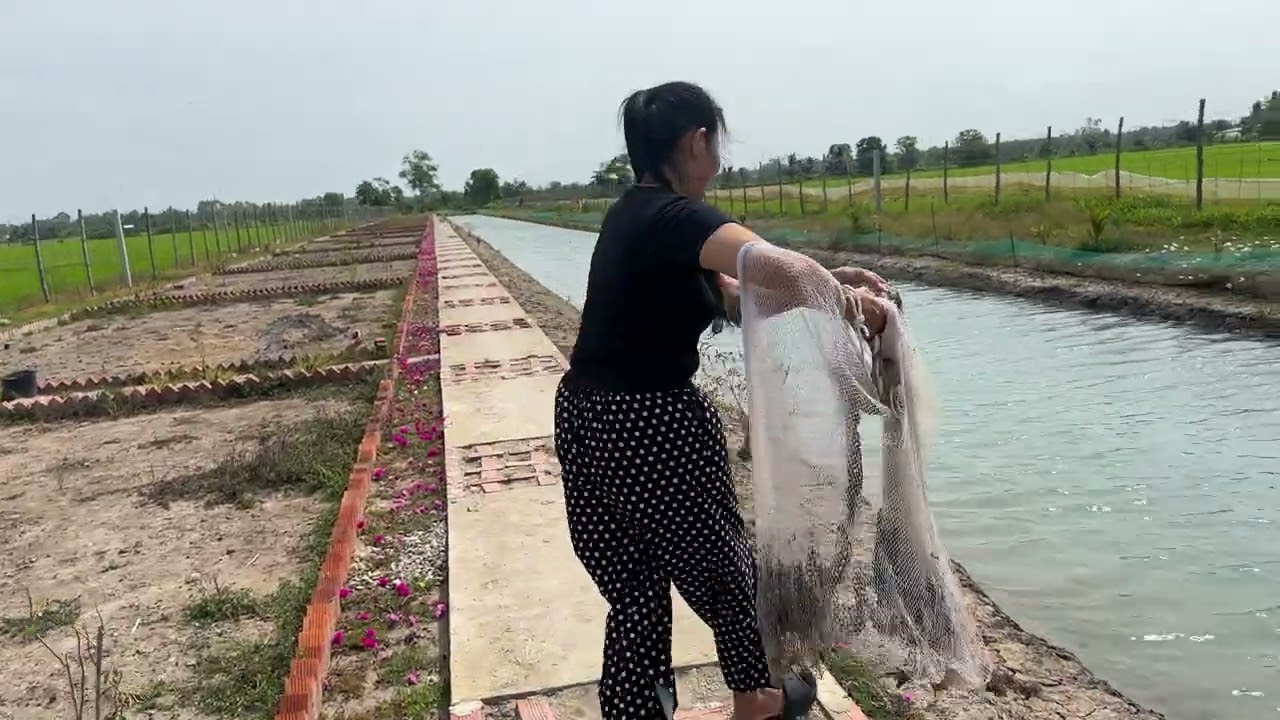 Nay ra ruộng thăm vườn hoa trăm năm #viralvideo 