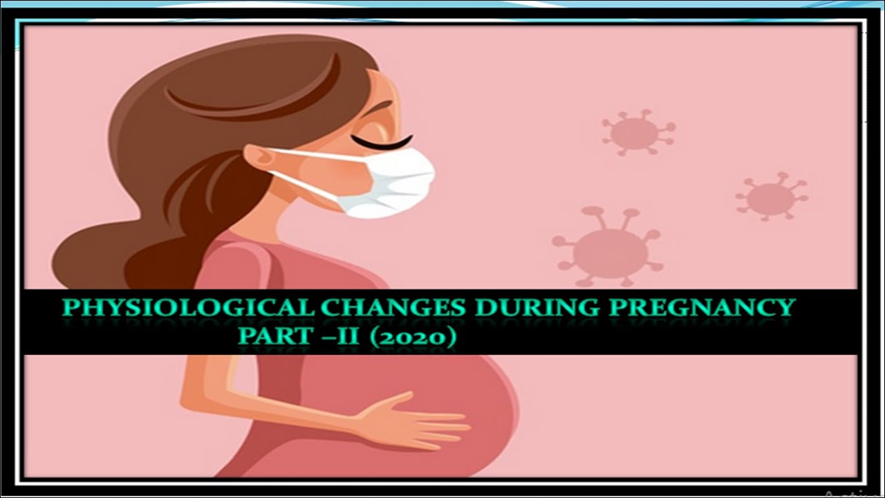 Physiological Changes During Pregnancy Part II (Reproductive tract