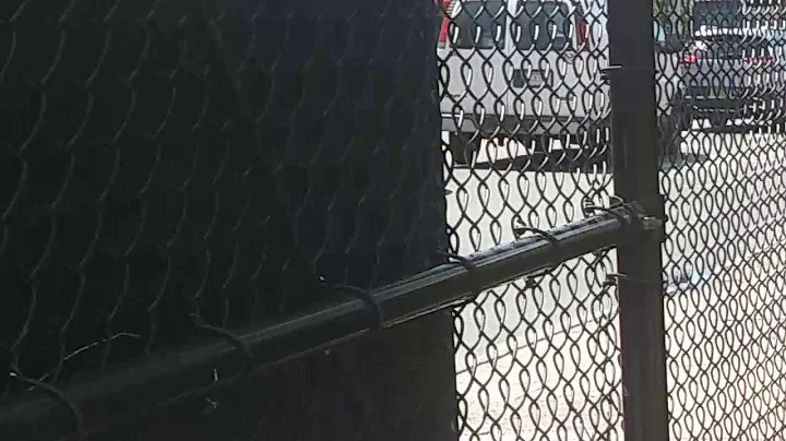 MTA Bus: 2007 Orion VII OG HEV #3652 On The Q22