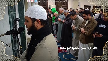 تلاوه خاشعه 32 | الشيخ محمود أبو سعده من الليله الحادي عشر رمضان 1446