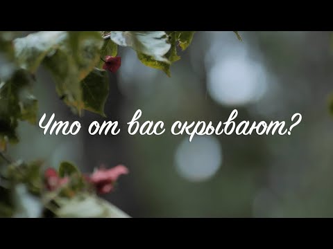 Что от вас