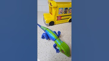 Cocomelon bus 🚌 attack 😬