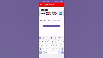 Stripe Error