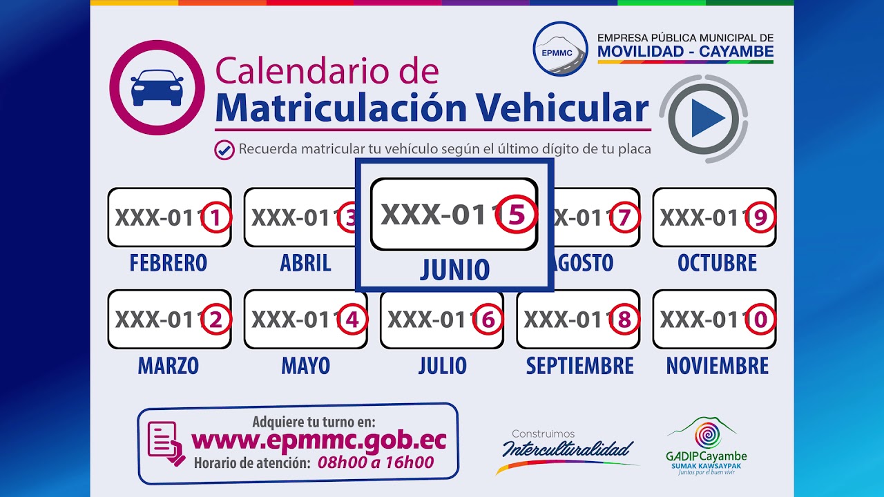 Matriculacion Vehicular 2019 Youtube