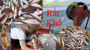 Ngày thứ 5 : lưới cá đục | hoàng Phú quốc