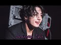 Jungkook BTS Senorita Song Edit Video