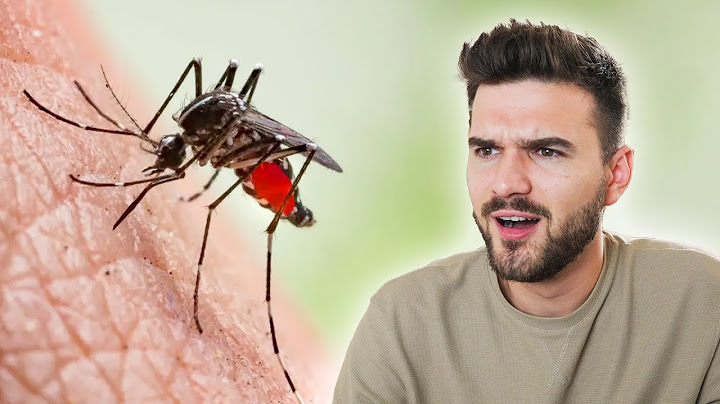 Hogyan szívják ki a SZÚNYOGOK a vérünket? - Márkopédia #14