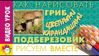 КАК нарисовать ГРИБ цветными карандашами.Рисуем ПОДБЕРЁЗОВИК. Видеоурок для начинающих художников. КАК нарисовать ГРИБ цветными карандашами.Рисуем ПОДБЕРЁЗОВИК. Видеоурок для начинающих художников.