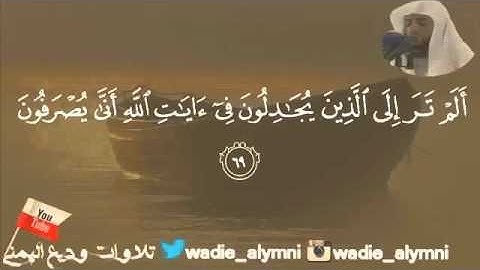 تلاوة بأداء لا مثيل له من سورة غافر وديع اليمني