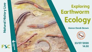 Exploring Earthworm Ecology