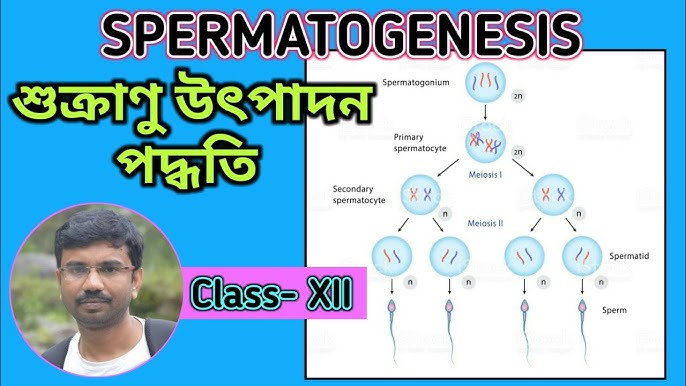 Arab eshak va jinsiy aloqa Yanina yalangoch va ochiq holda