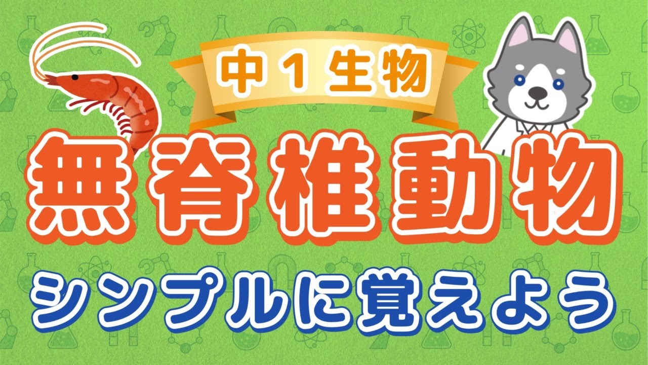 中1理科 無セキツイ動物の分類 Youtube
