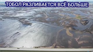 ТЮМЕНЬ И КУРГАН ОБСТАНОВКА НА 8 МАЯ