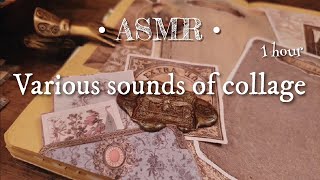ASMR｜コラージュの色々な音/Various sounds of collage｜sleeping,Relaxing, 睡眠,作業,BGM