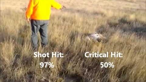 XCOM: Enemy Unknown in a Nutshell