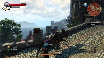 Horse galloping glitch (The Witcher 3: Wild Hunt)