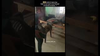 new reels video shorts funny hub funny club comedy hub comedy club funny hub funny club comedy hub