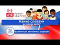 Какие СЛОВАКИ на самом деле? Особенности, менталитет, традиции. Прямой эфир №10.