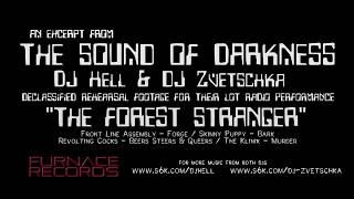 DJ Hell &amp; DJ Zvetschka &quot;The Forest Stranger&quot; Live Remix