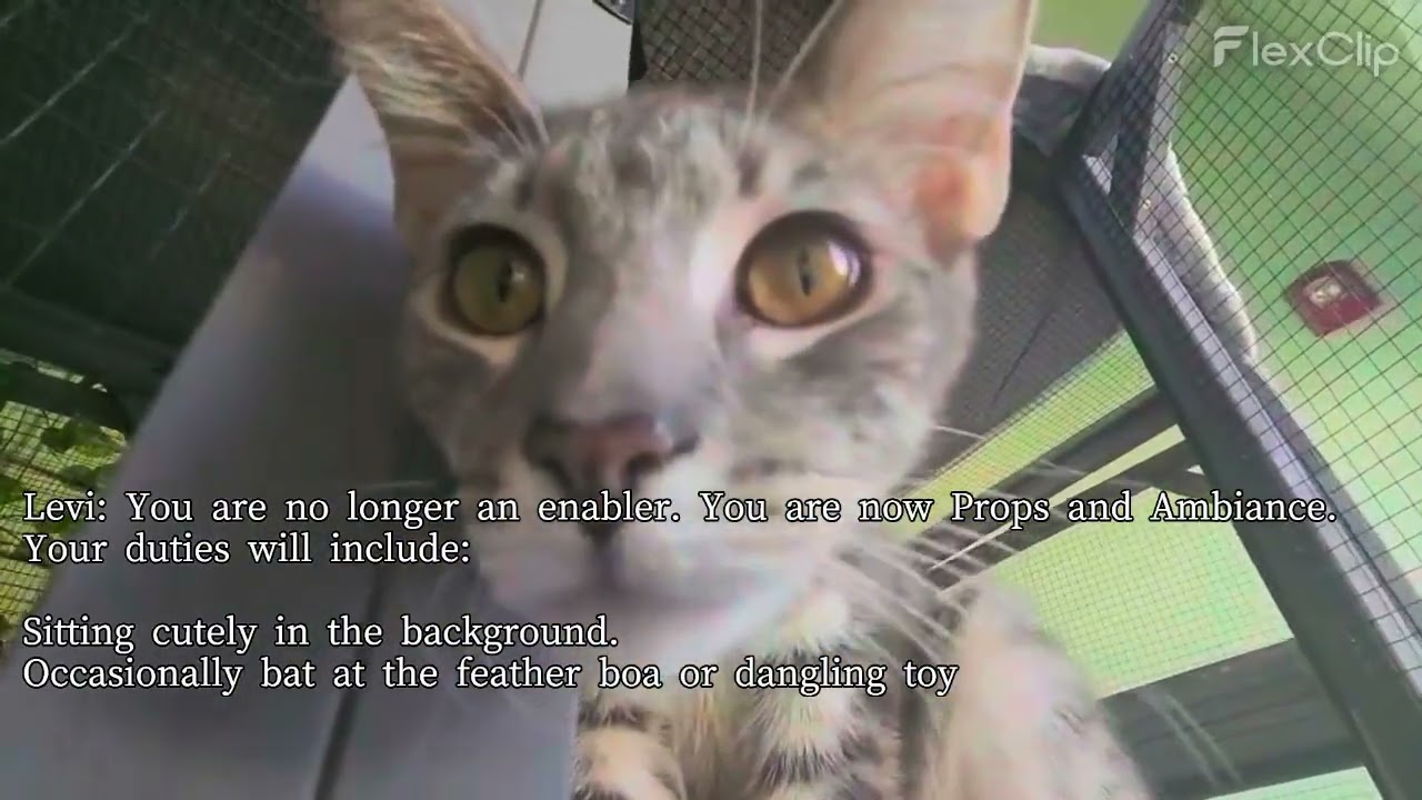 To Heather, from Bongo, ORL Paw, Re: Counter-Offer Proposal for a Contingency-Based Accord for May