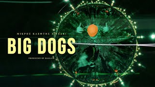 ΜΙΚΡΟΣ ΚΛΕΦΤΗΣ & TSAKI - BIG DOGS (Official Video)