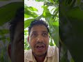 হেলদি ফুড vs প্রসেস ফুড কি? #food #youtube #shortsfeed #nutrition #tips #explore #foryou #bd