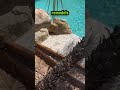 ACP Designs - Arizona General Contractor ROC 344509 - Remodels, Concrete & Cool Decks